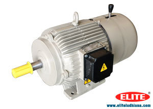 Break and Clutch Electric Motors Electromagnetic Clutch & Brake Combination manufacturers exporters India Punjab Ludhiana